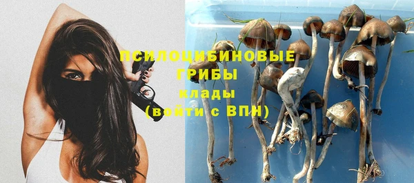 mdpv Балахна