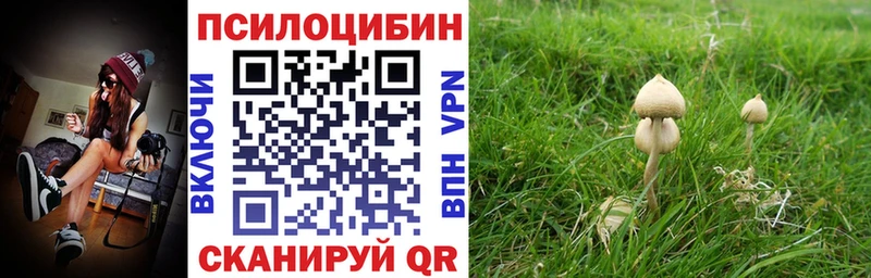 где купить наркоту  Вихоревка  Галлюциногенные грибы ЛСД 