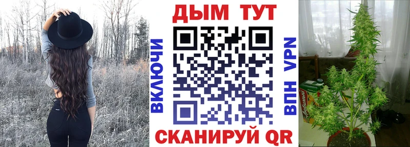 как найти наркотики  Вихоревка  Канабис AK-47 